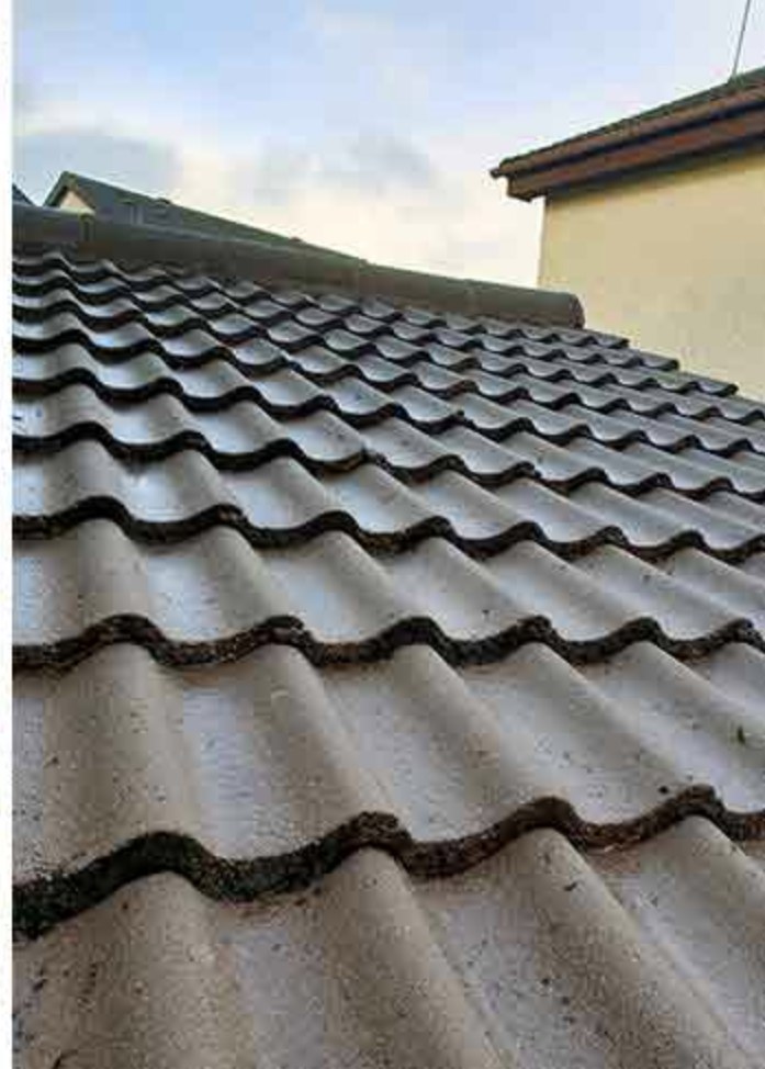 After — Roof Cleaning — heavy moss and algae removed from tile roof, gutters cleared.