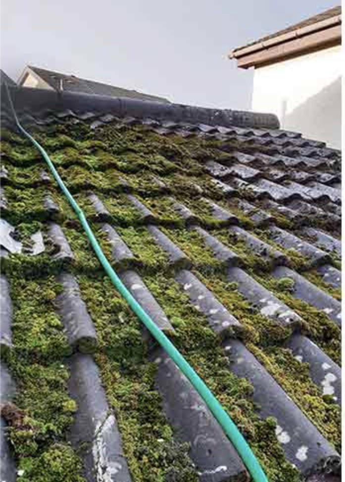 Before — Roof Cleaning — heavy moss and algae removed from tile roof, gutters cleared.